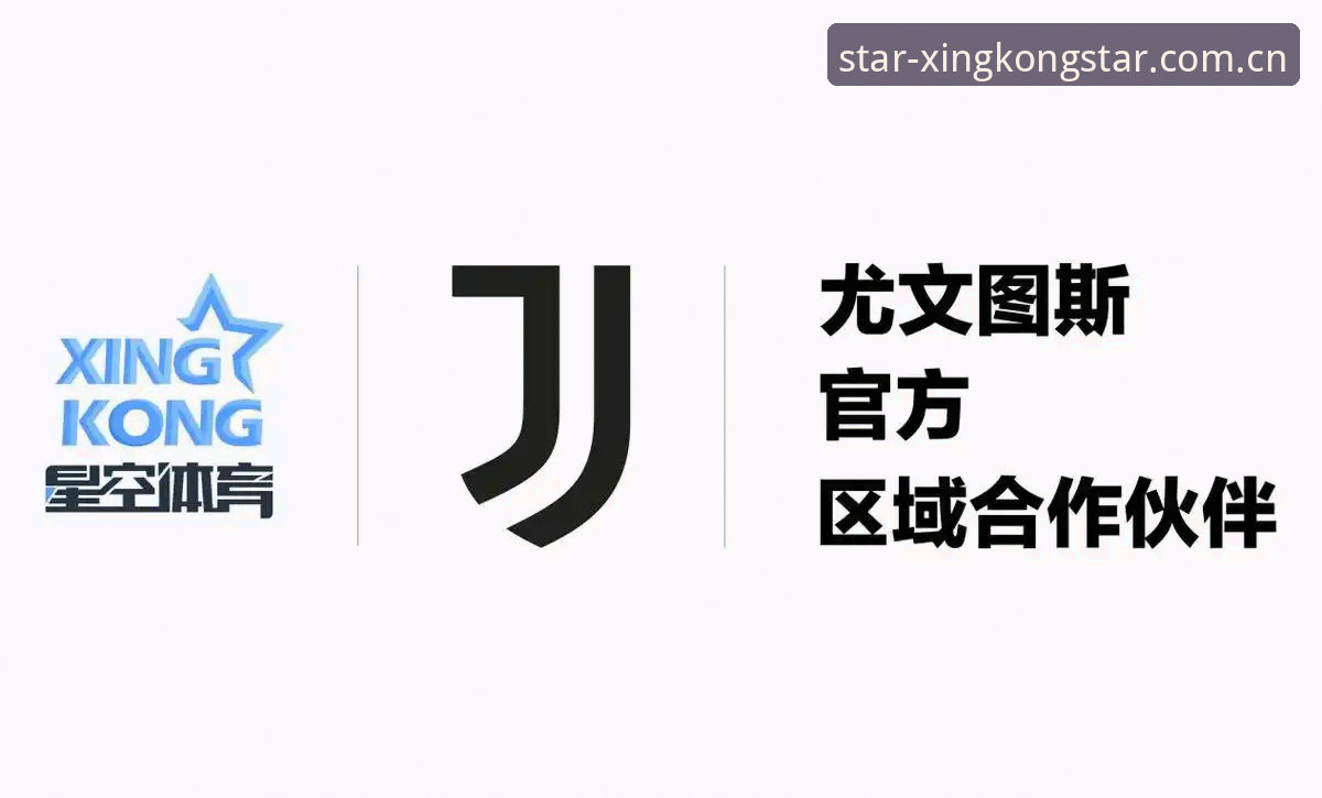 XINGKONG CN官网登录攻略 一个尤文小将的去留,让我在星空平台看了三天数据更新